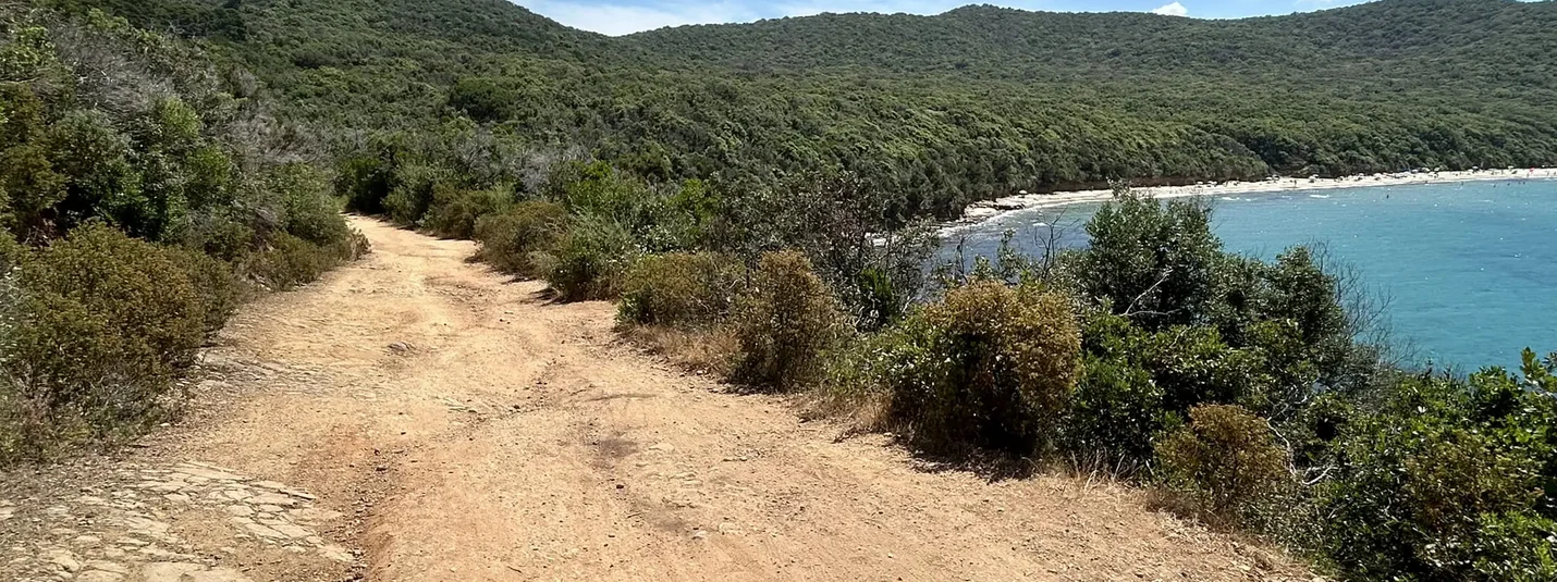 Dirt path along forested hills overlooking the blue sea