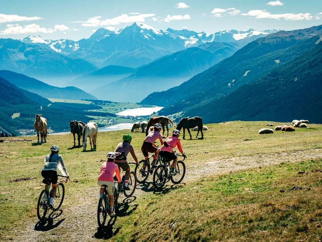 Das waren die Golden Days in Nauders © TVB-Tiroler-Oberland-Nauders-Christian-Penning - Gravelbiker mit Pferden am Reschensee Radfahrer fahren an weidenden Pferden vorbei über eine Almwiese vor Berggipfeln