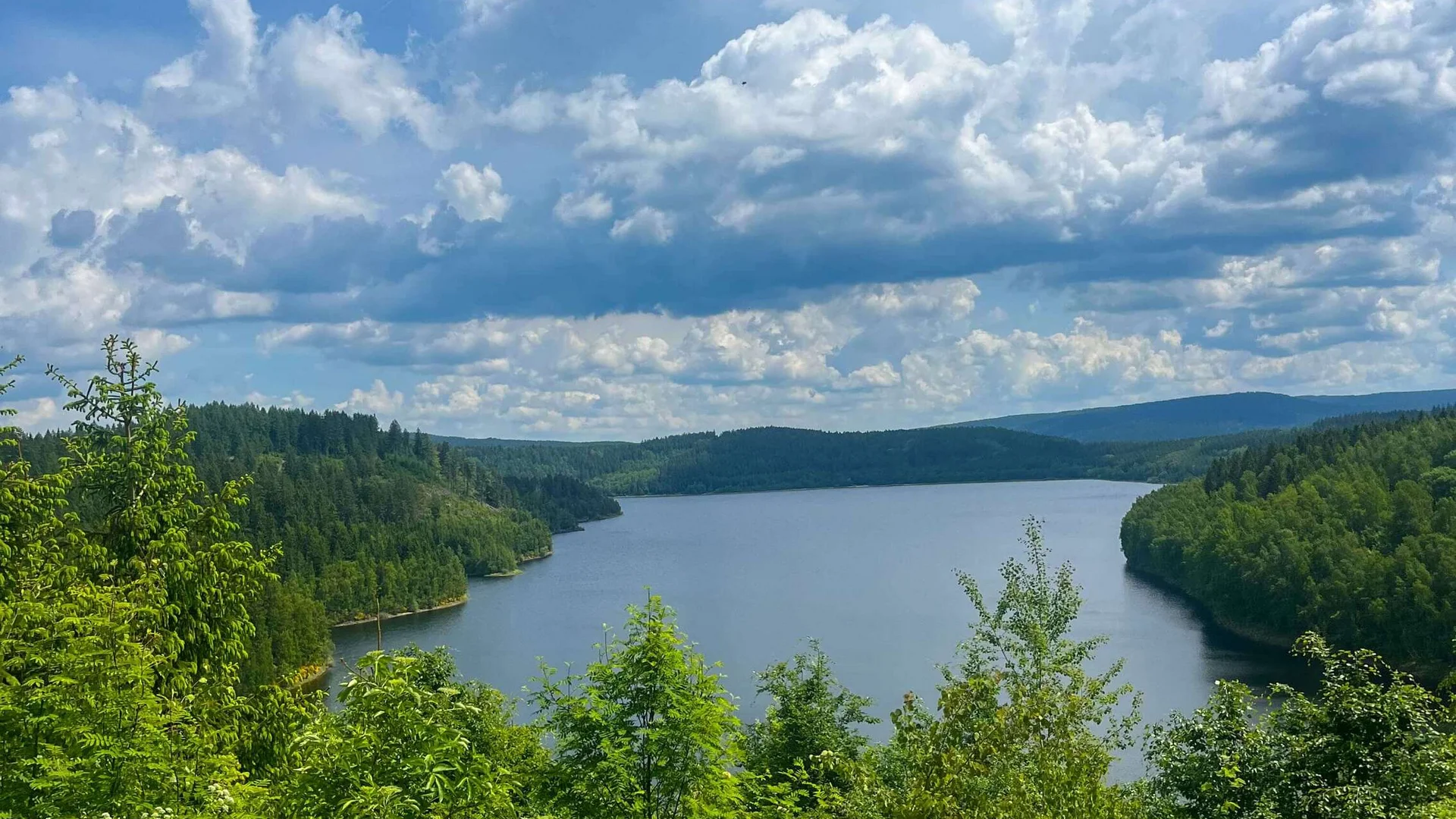 See mit grünen Bäumen und bewölktem Himmel im Sommer