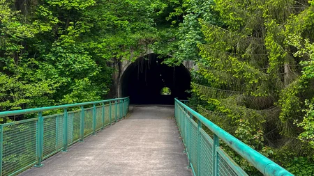 Grüner Waldweg führt über Brücke zu einem dunklen Tunnel