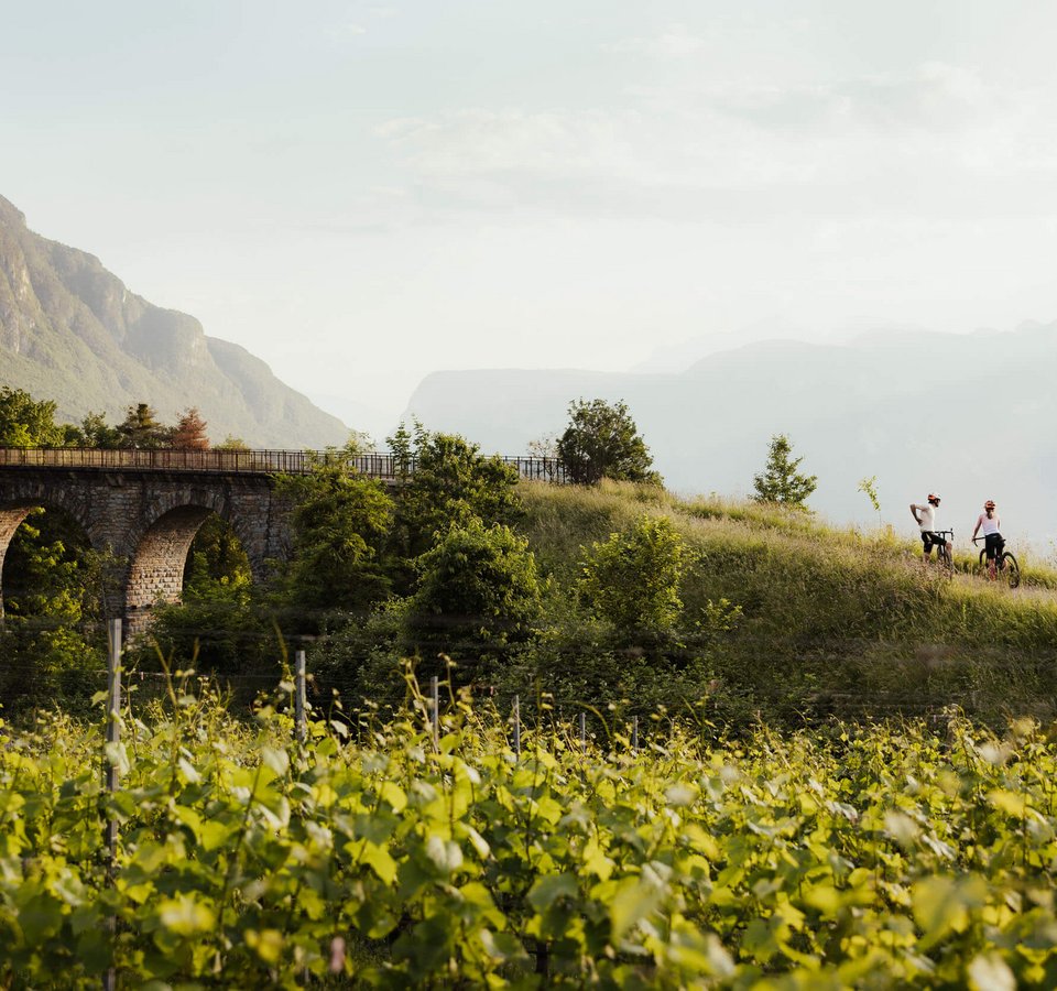 Von Gravel bis Wein – Hotel Teutschhaus***S © Alex Moling Von Gravel bis Wein – Hotel Teutschhaus***S