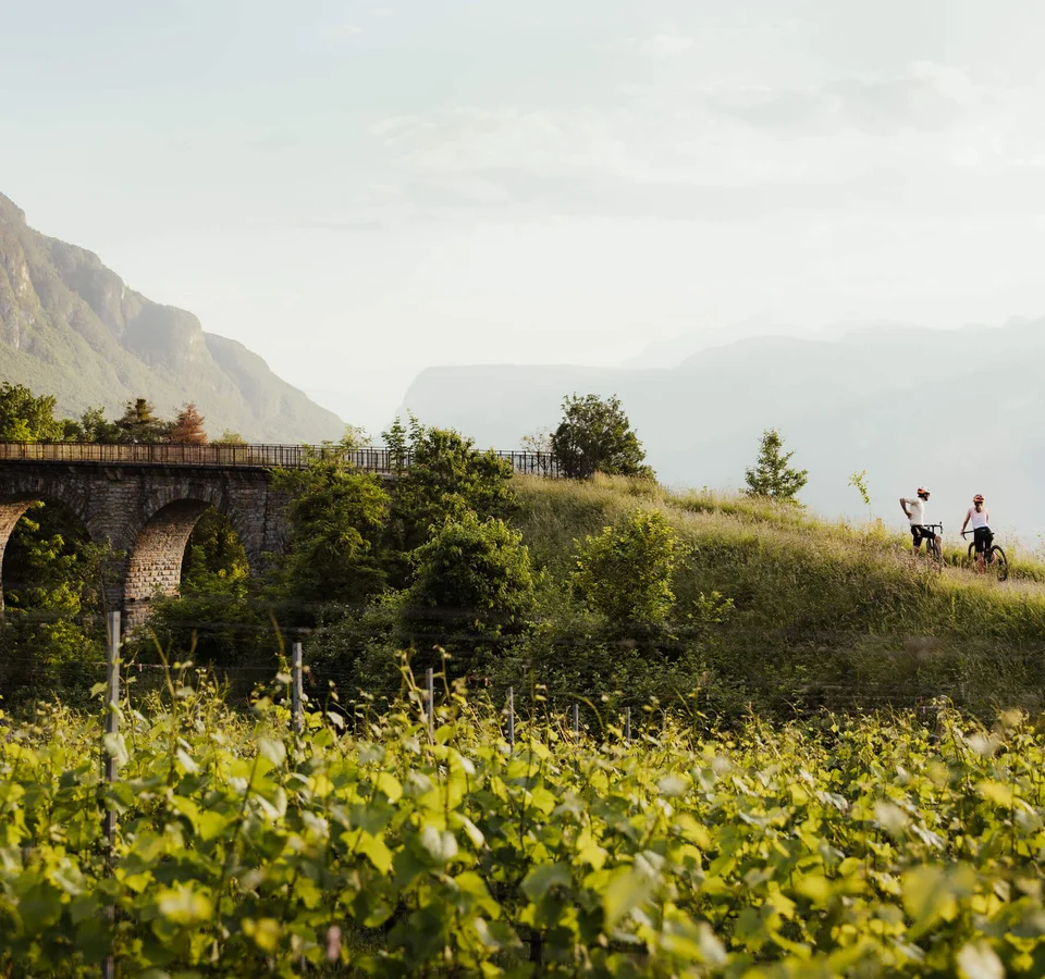 Zwei Radfahrer auf einem Hügel neben einer alten Steinbrücke in grüner Landschaft