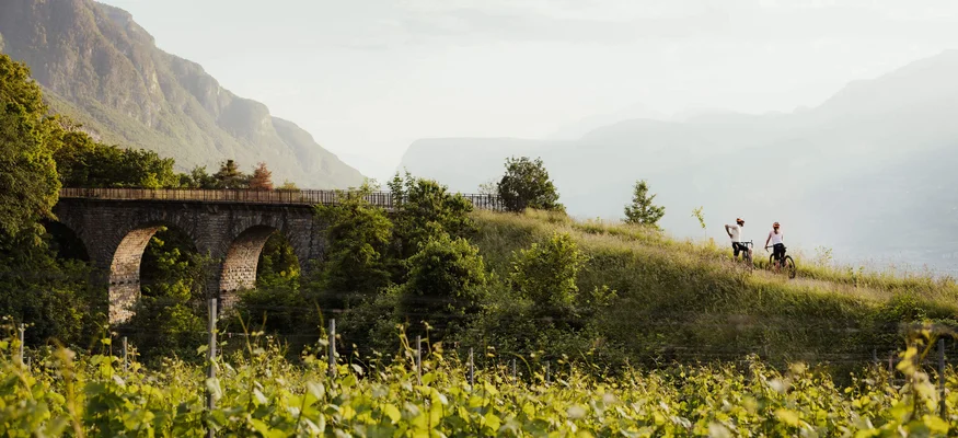 Zwei Radfahrer auf einem Hügel neben einer alten Steinbrücke in grüner Landschaft