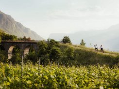 South Tyrol's south © Alex Moling South Tyrol's south