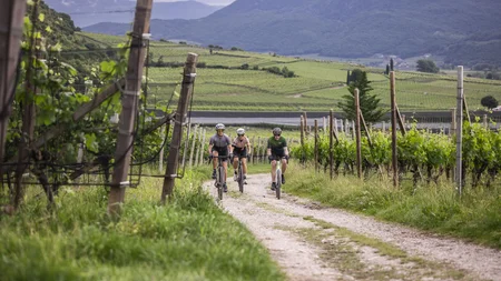 Gravel & Törggelen: Warum Tramin im Herbst perfekt für Gravelbiker ist © Heiko Mandl Drei Radfahrer fahren auf einem Weg durch Weinberge mit Bergen im Hintergrund