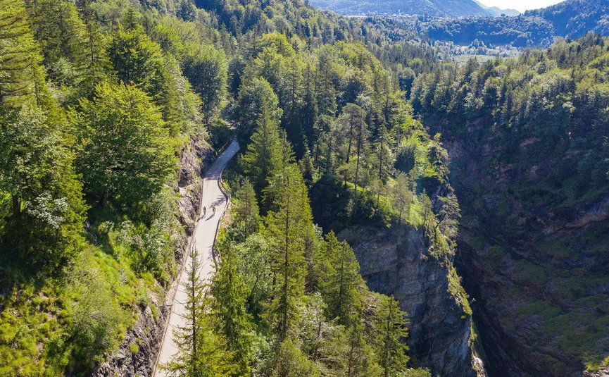 Cyclists on a mountain road through dense forest