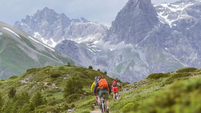 Drei Radfahrer auf Bergweg mit alpiner Landschaft und schneebedeckten Gipfeln