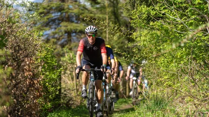 Group of cyclists riding on a forest trail on a sunny day