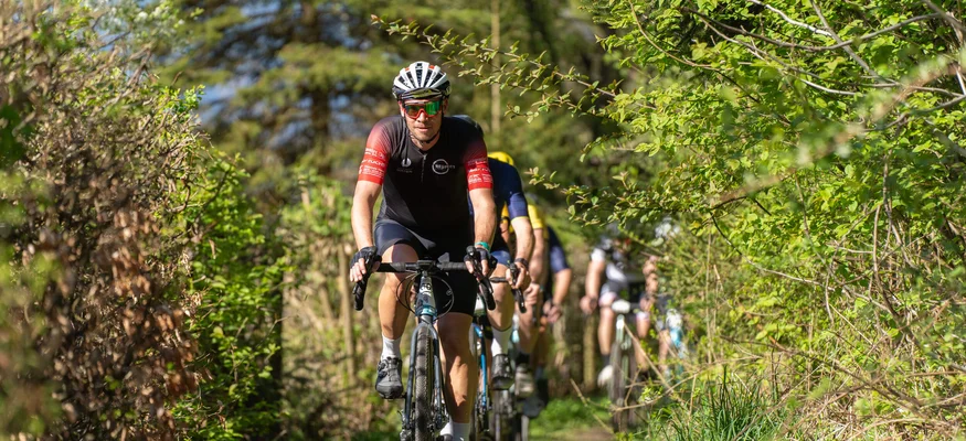 Group of cyclists riding on a forest trail on a sunny day