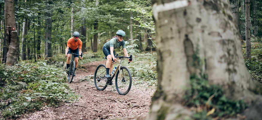 Two cyclists riding mountain bikes on a forest trail