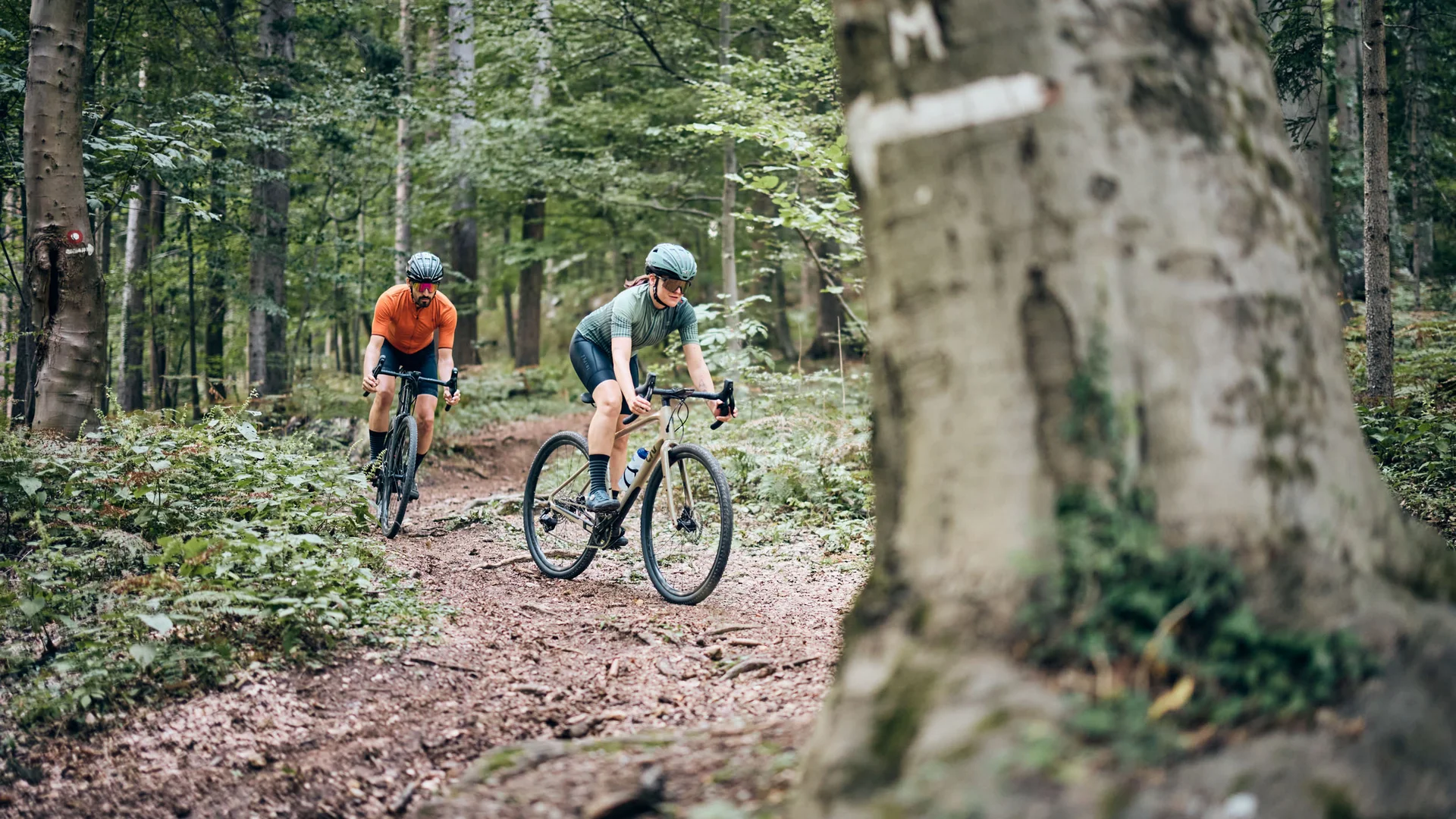Zwei Radfahrer fahren auf einem Waldweg auf Mountainbikes