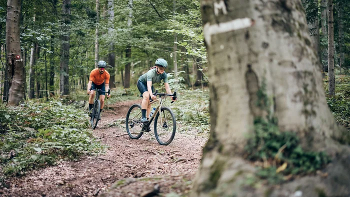 Two cyclists riding mountain bikes on a forest trail