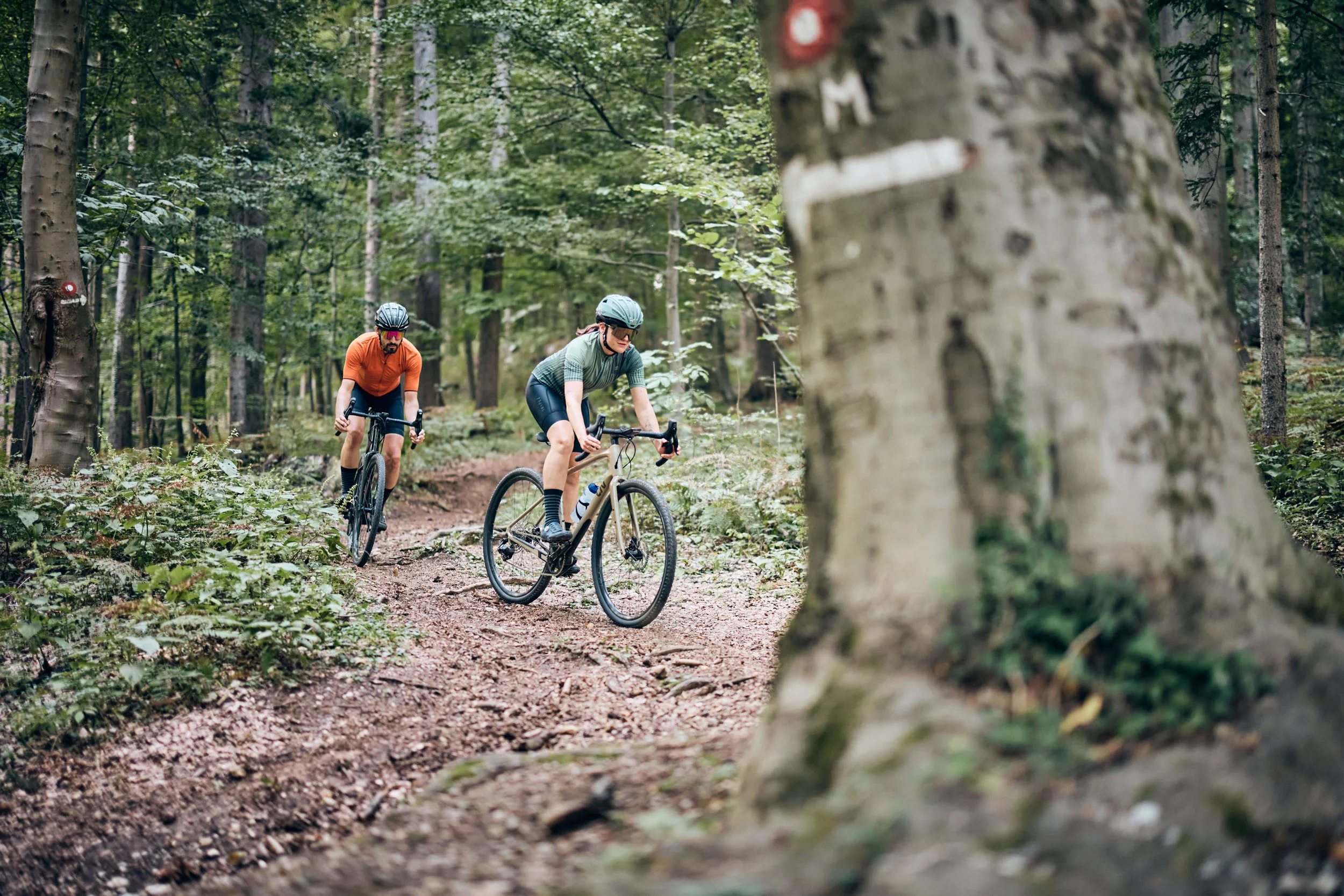 Epic Route Carinthia - Slovenia © Tobias Köhler Two cyclists riding mountain bikes on a forest trail