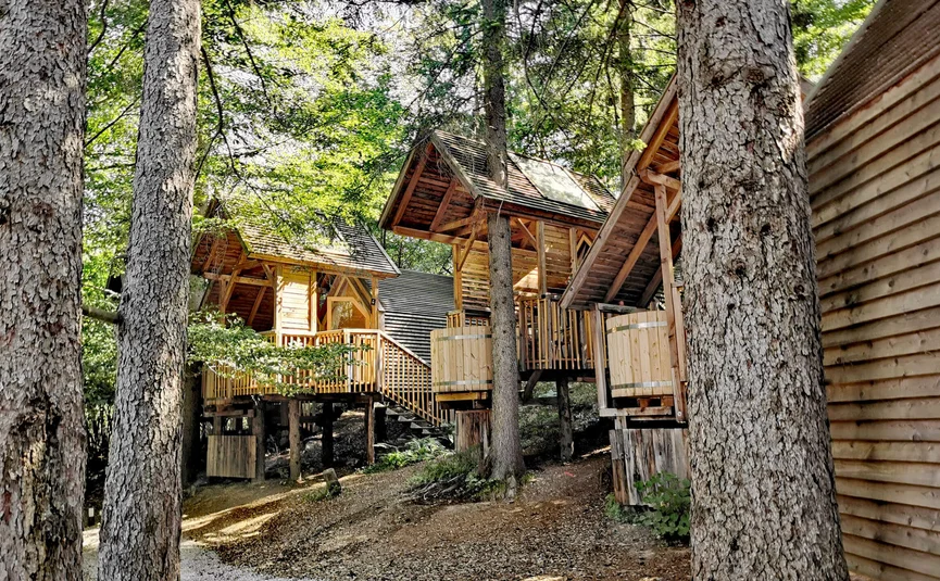 Several wooden treehouses in a forested area during daylight