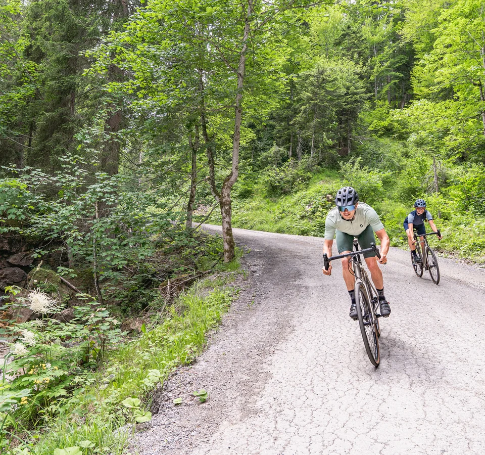 Zwei Radfahrer fahren auf einem Waldweg neben einem Bach