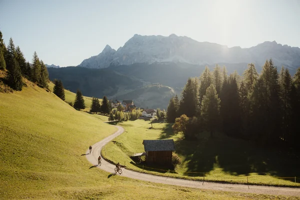 Alpine Gravel Experience © Alex Moling Cyclists on a mountain path with a sunny mountain and forest view