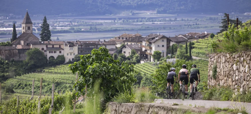 Drei Radfahrer fahren auf einem Weg durch Weinberge mit Dorf und Bergen im Hintergrund