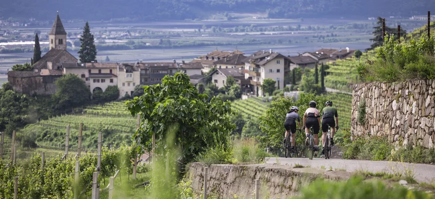 Drei Radfahrer fahren auf einem Weg durch Weinberge mit Dorf und Bergen im Hintergrund