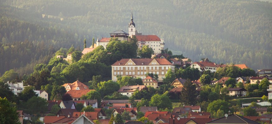 Hügelstadt mit Schloss, vielen Häusern und bewaldeten Bergen im Hintergrund
