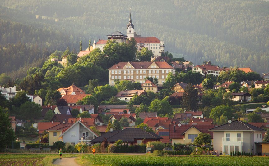 Hügelstadt mit Schloss, vielen Häusern und bewaldeten Bergen im Hintergrund