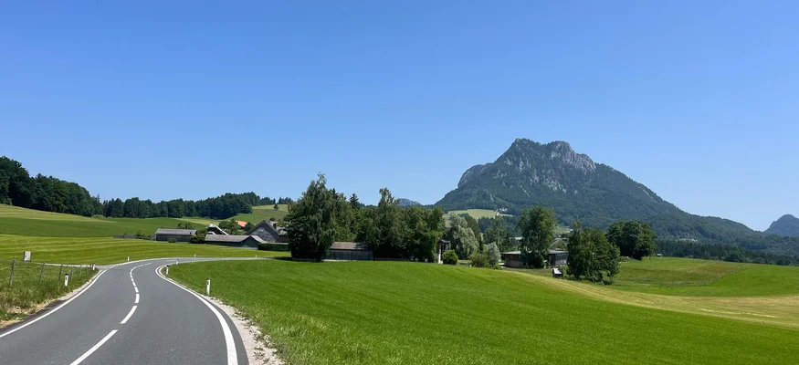 Landstraße führt durch grüne Wiesen zu einem bewaldeten Berg unter klarem blauen Himmel