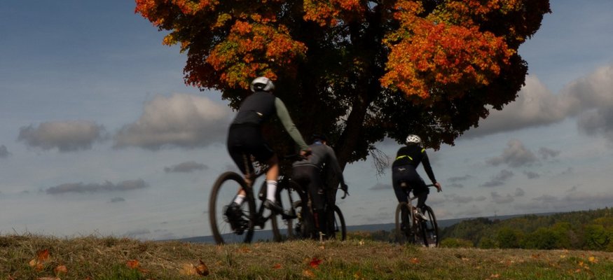 Drei Radfahrer vor einem Baum mit roten Herbstblättern und blauem Himmel