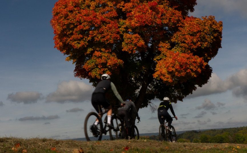 Gravelbike Urlaub in Baden-Württemberg © David Lemanski Drei Radfahrer vor einem Baum mit roten Herbstblättern und blauem Himmel