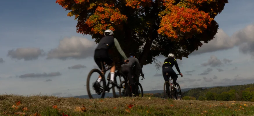 Drei Radfahrer vor einem Baum mit roten Herbstblättern und blauem Himmel