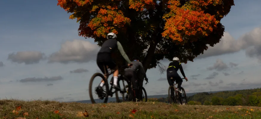 Three cyclists riding past a tree with red autumn leaves under a blue sky