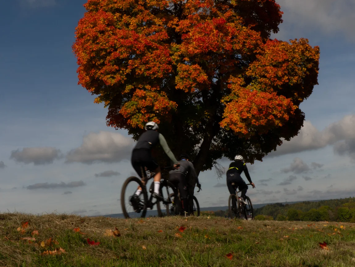 Deutschland © David Lemanski Drei Radfahrer vor einem Baum mit roten Herbstblättern und blauem Himmel