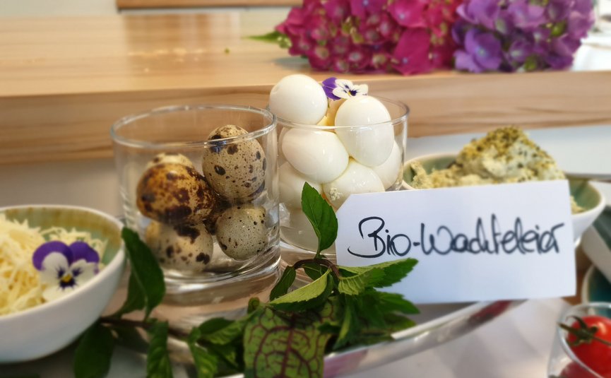 Glas mit Wachteleiern und weißen Eiern auf einem Tisch mit Kräutern und Blumen