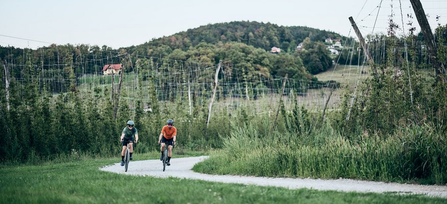 Zwei Radfahrer fahren auf einem Feldweg durch eine grüne Landschaft mit Hügeln