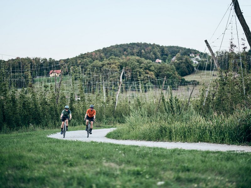 Gravelbike Holidays © Tobias Köhler Zwei Radfahrer fahren auf einem Feldweg durch eine grüne Landschaft mit Hügeln
