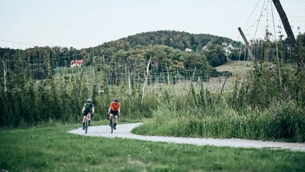 Zwei Radfahrer fahren auf einem Feldweg durch eine grüne Landschaft mit Hügeln