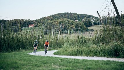 Zwei Radfahrer fahren auf einem Feldweg durch eine grüne Landschaft mit Hügeln