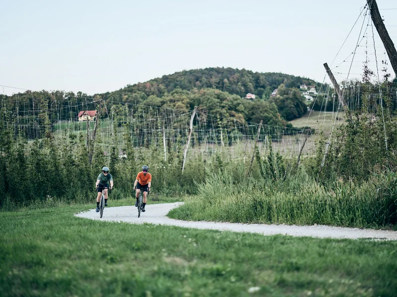 Zwei Radfahrer fahren auf einem Feldweg durch eine grüne Landschaft mit Hügeln