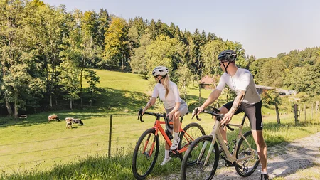 Gravelbiken im Bayerischen Wald © Stefan J. Wolf Photography Zwei Radfahrer in Sportkleidung stehen auf Landweg vor Weide mit Kühen
