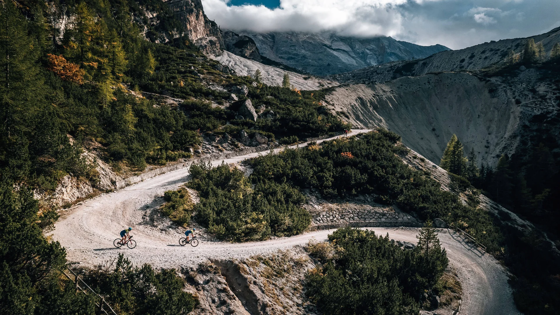 Zwei Radfahrer auf kurviger Bergstraße in bewaldeter Landschaft