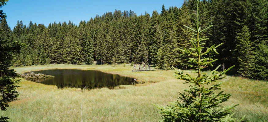 Auf Schotterkurs im Hotel Teutschhaus © Thomas Monsorno - TV Castelfeder Kleiner See im Wald mit drei Radfahrern auf Steg bei sonnigem Wetter