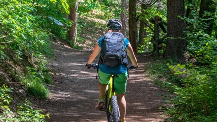 Fahrradfahrer radelt auf schattigem Waldweg
