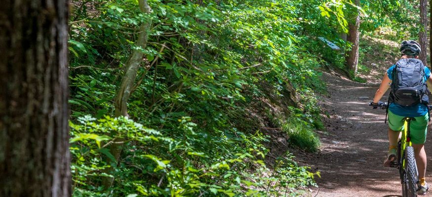 Fahrradfahrer radelt auf schattigem Waldweg