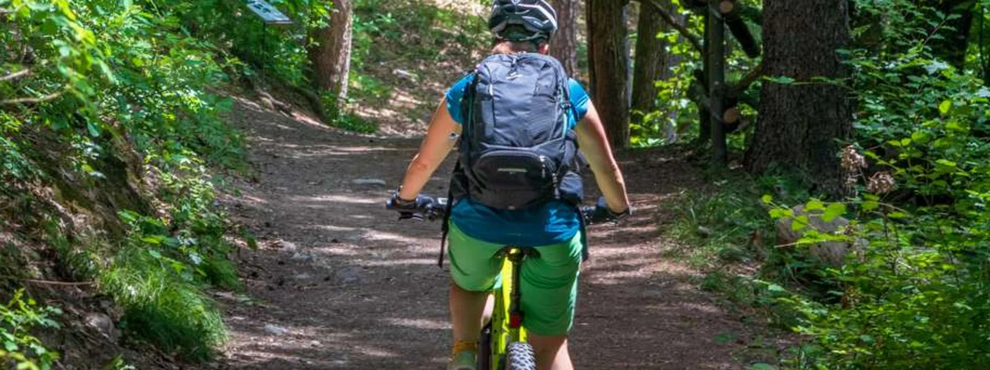 Eppan High Trail and Furglau © Tourismusverein Tramin Cyclist riding on a shaded forest trail