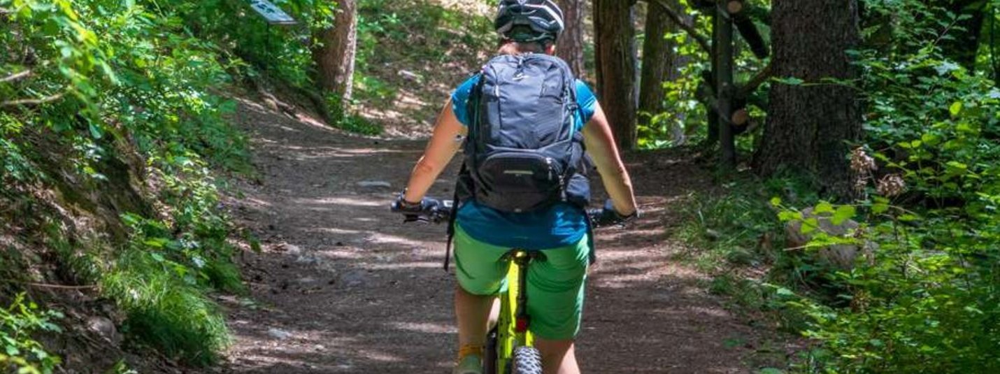 Eppaner Höhenweg & Furglau © Tourismusverein Tramin Fahrradfahrer radelt auf schattigem Waldweg