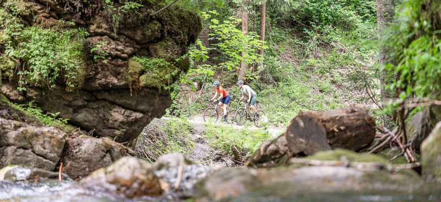 Zwei Radfahrer fahren auf Waldweg neben Bach im grünen Wald