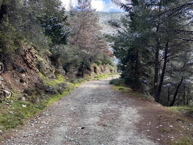 Bikepacking von Wien nach Athen © Jan Koller Wanderweg im Wald mit teilweise verschneiten Bäumen und blauem Himmel