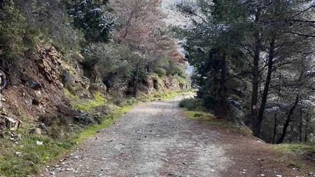 Bikepacking von Wien nach Athen © Jan Koller Wanderweg im Wald mit teilweise verschneiten Bäumen und blauem Himmel