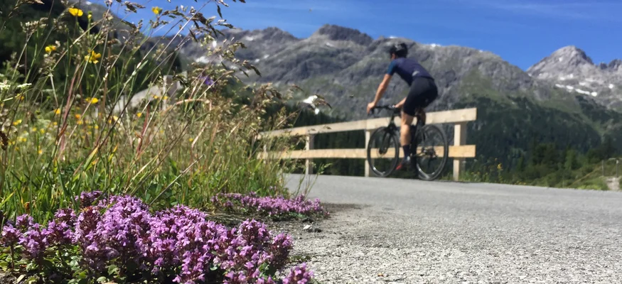 Müde Beine, volle Bäuche, offene Herzen © Hotel Bären - Cafe Deli Mellau Radfahrer auf Bergstraße mit lila Blumen und Bergen im Hintergrund