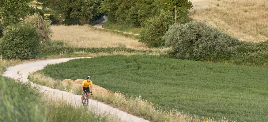 Cyclist riding on a narrow path through green and yellow fields in hilly landscape