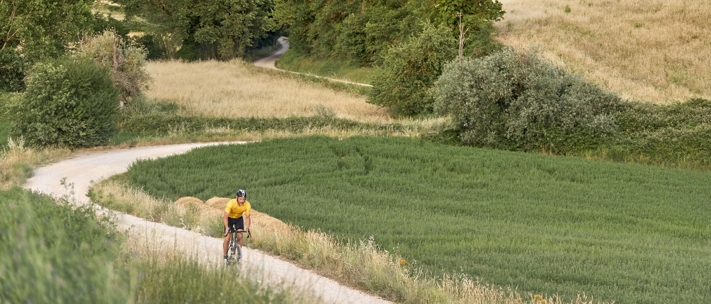 Gravelbiken in der Toskana © Asha Balogh Radfahrer auf einem schmalen Weg durch grüne und gelbe Felder in hügeliger Landschaft