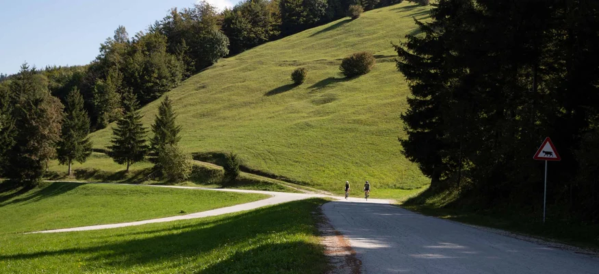 Zwei Radfahrer auf Landstraße mit grünen Hügeln und Wald im Hintergrund